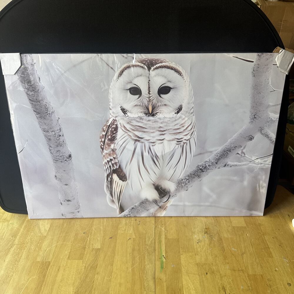 Owl Wall Art Canvas Large Animal Bird Print Nature Decor 35.5x24